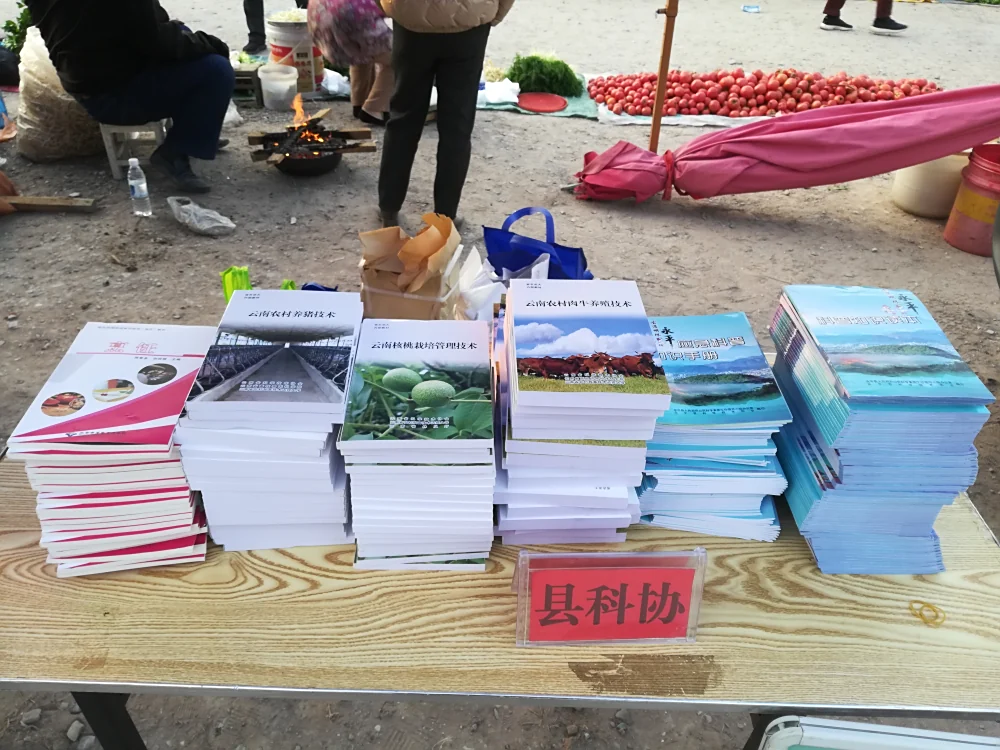 云南永平县科协开展“3.5”学雷锋全国农技协助春耕科技志愿服务行动