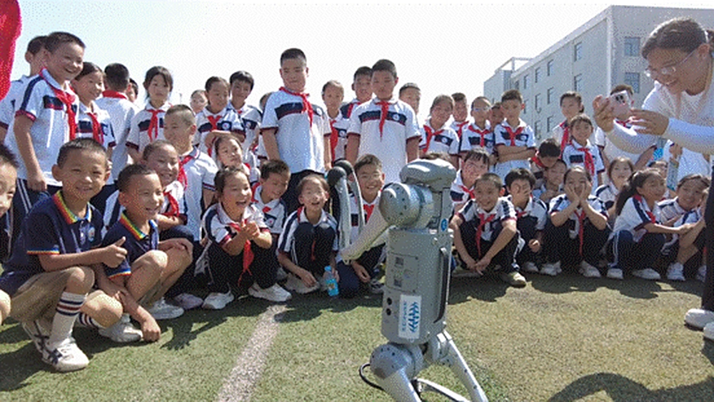 194ff0b7e5b68b9aba1785a50f75ca6