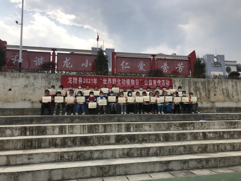 龙山小学宣传