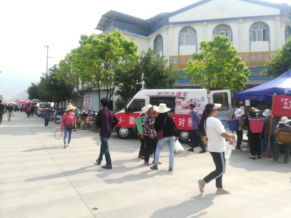 杉阳镇科普进农村健康宣教义诊服务活动