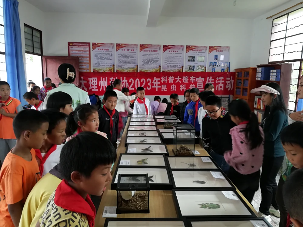 云南永平县科协到龙门乡中心完小开展科普大篷车进校园联合行动、昆虫科普进校园服务活动