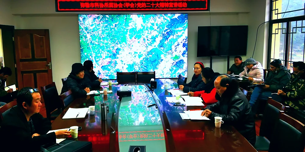 西三核桃协会