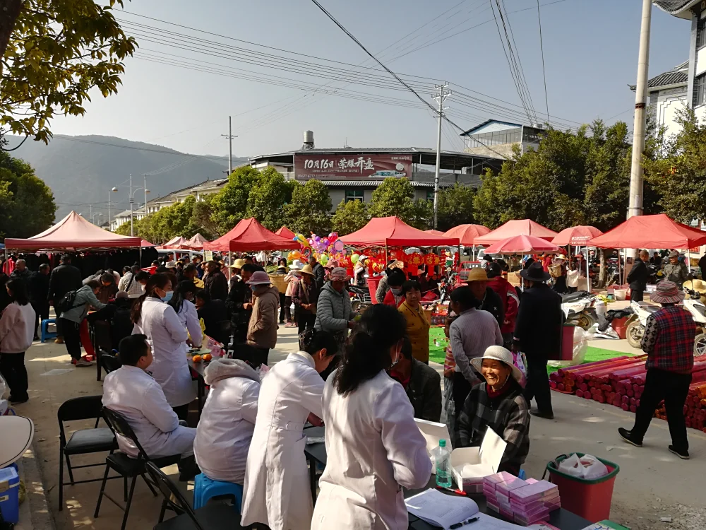 云南永平县科协杉阳镇科技志愿服务活动