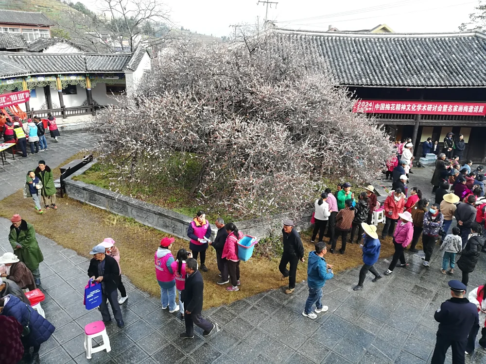 云南永平县科协开展2024年文化科技卫生“三下乡”志愿服务活动