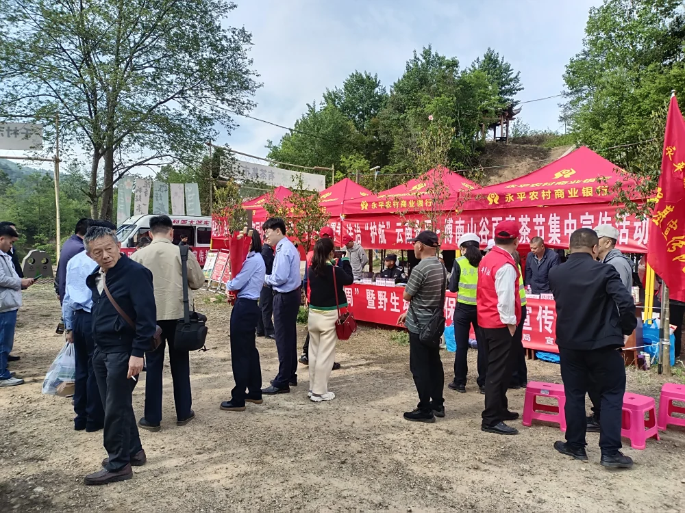 云南永平县科协谷雨春茶节法治科普宣传教育活动