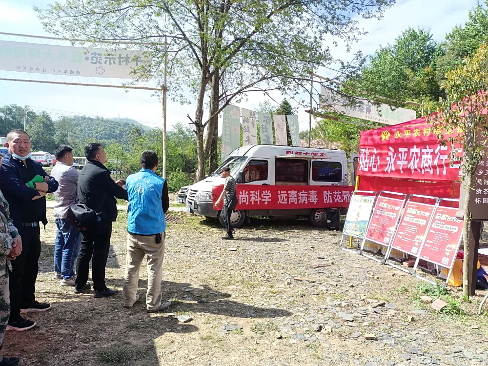 云南永平县科协谷雨春茶节法治科普宣传教育活动