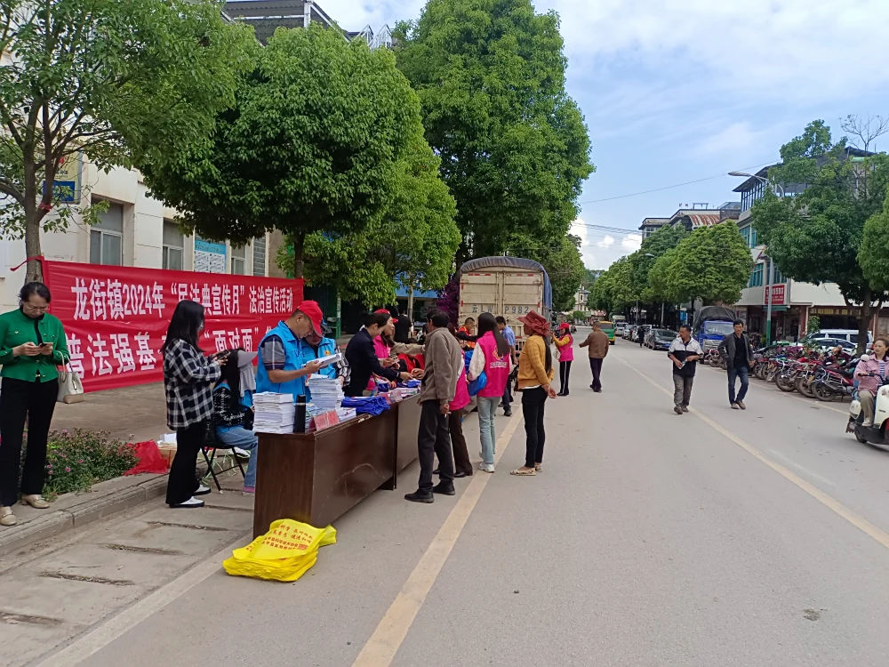 云南永平县科协龙街镇普法强基科技志愿服务活动