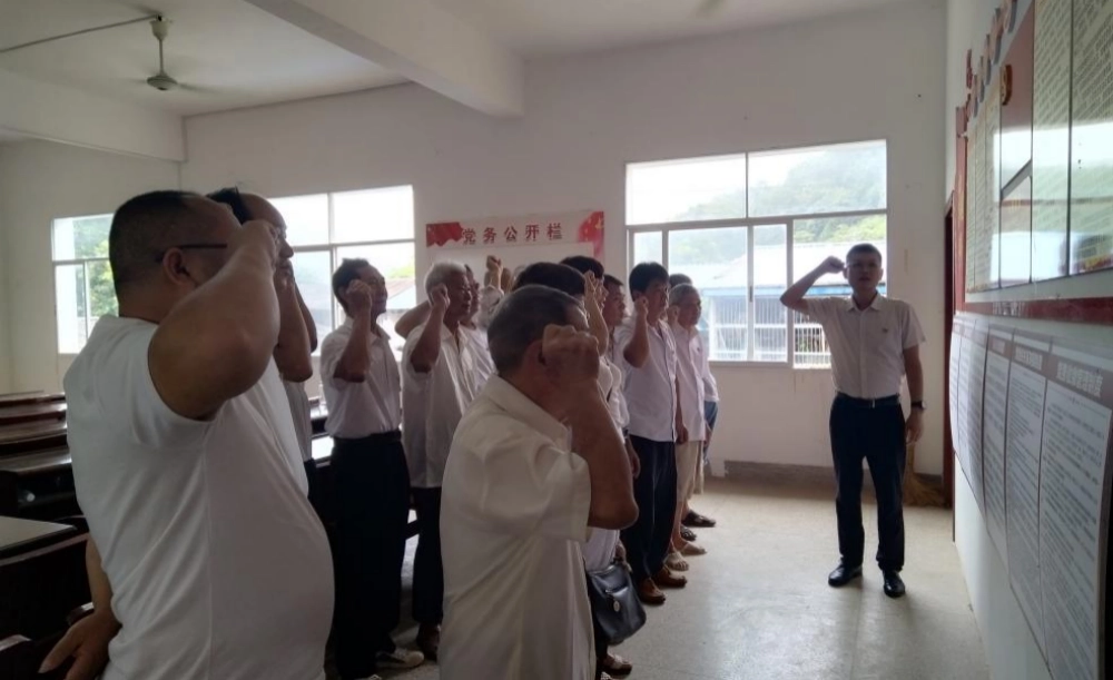 全体党员重温入党誓词