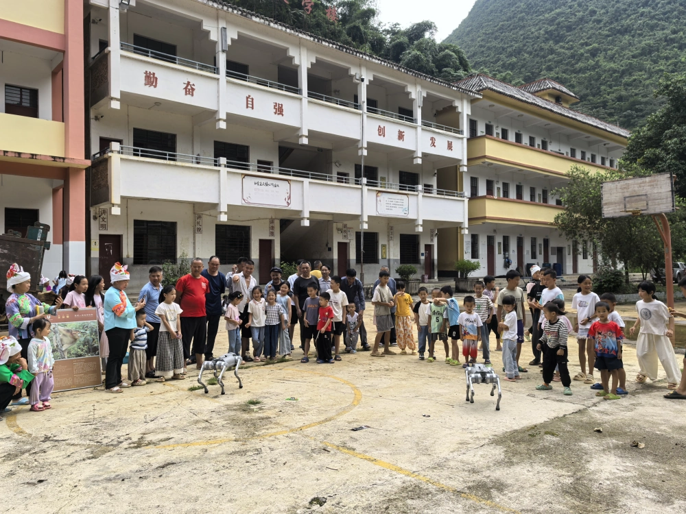 四足机器狗表演