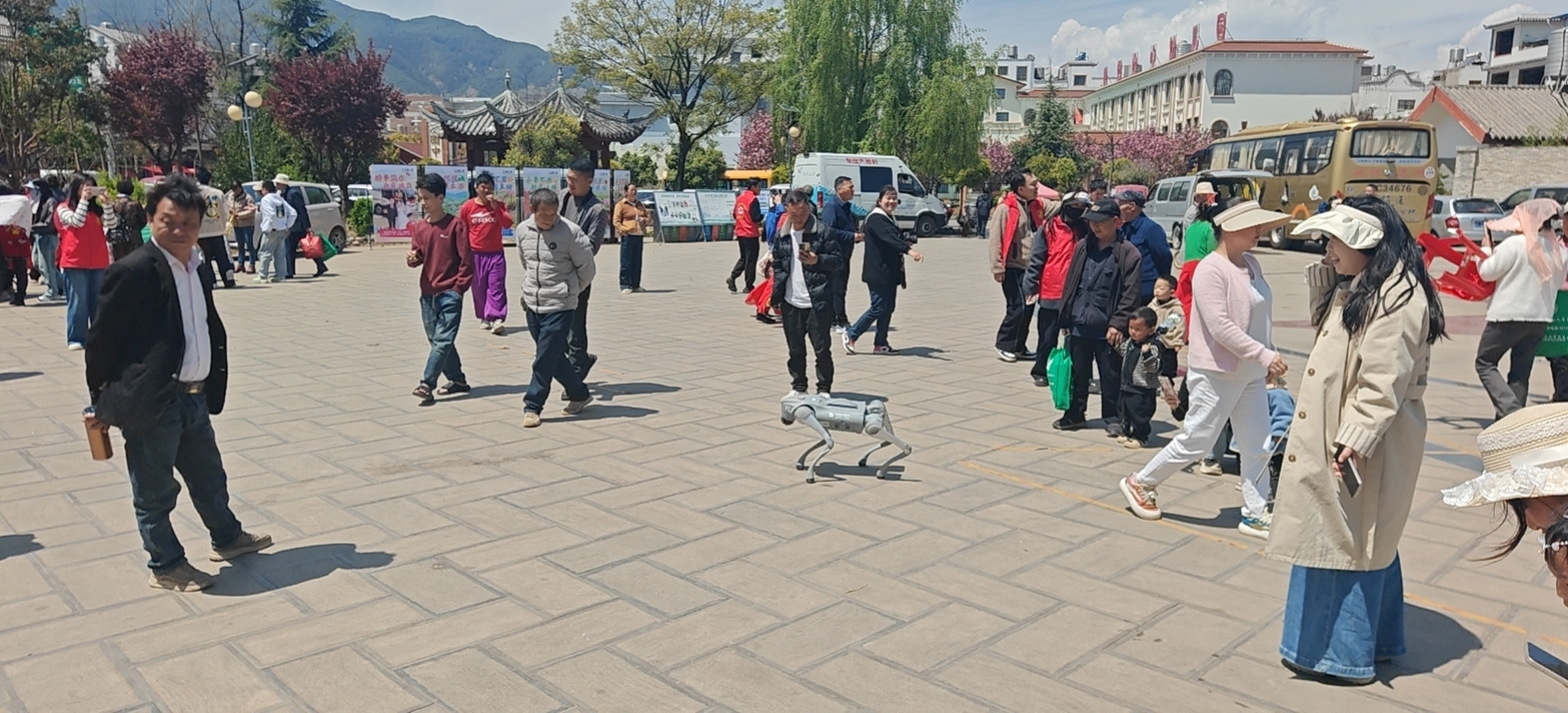 图片加载失败