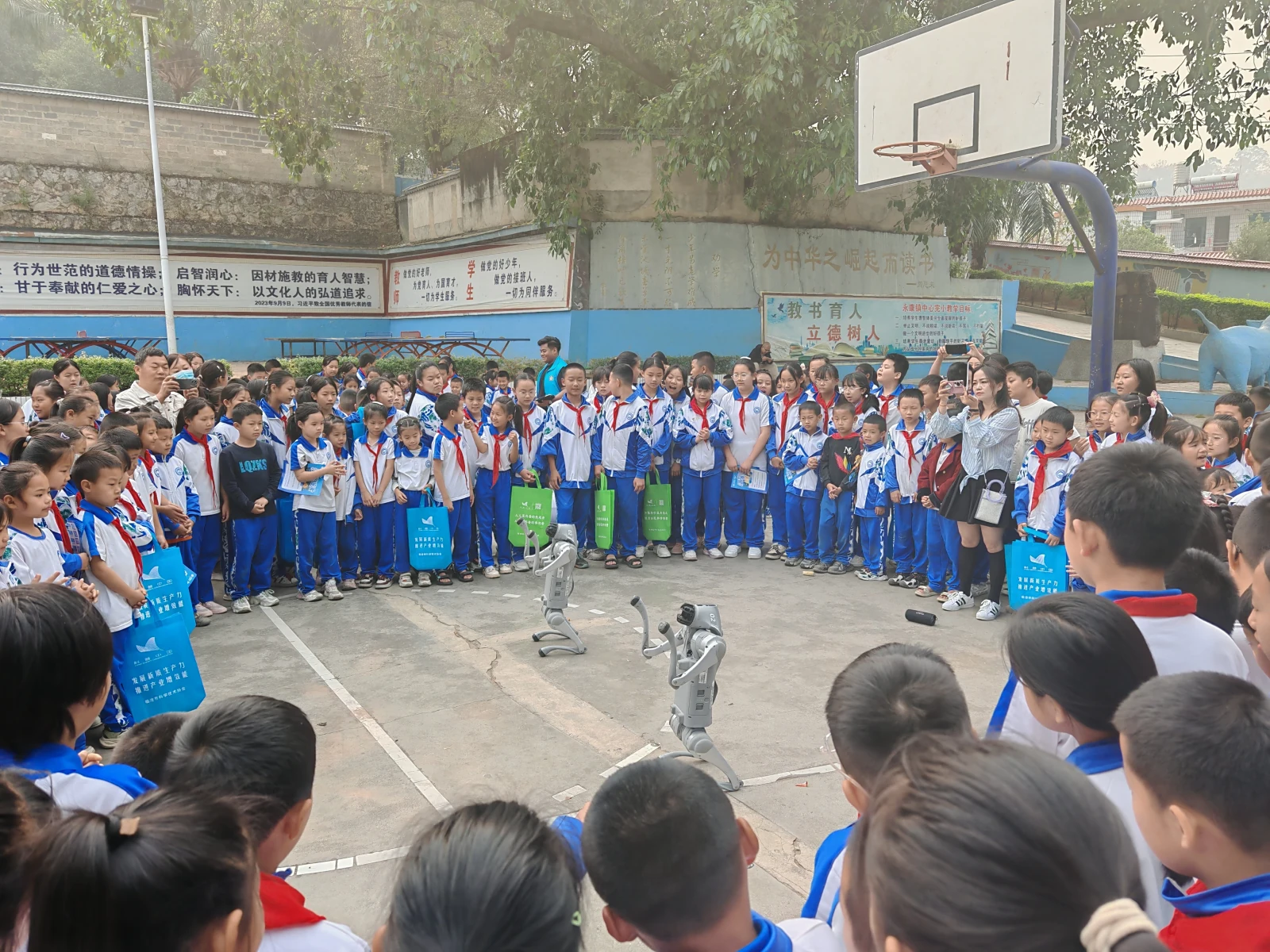 图片加载失败