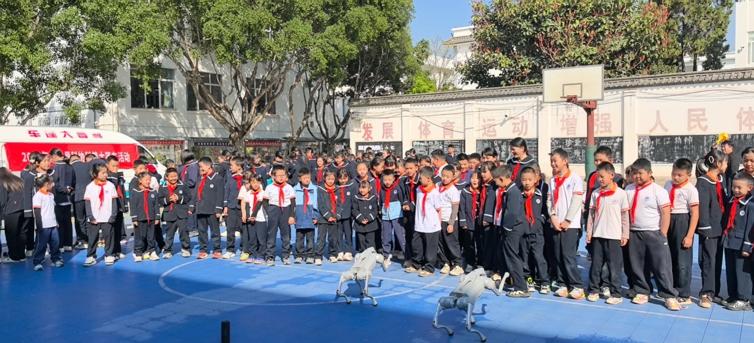 图片加载失败