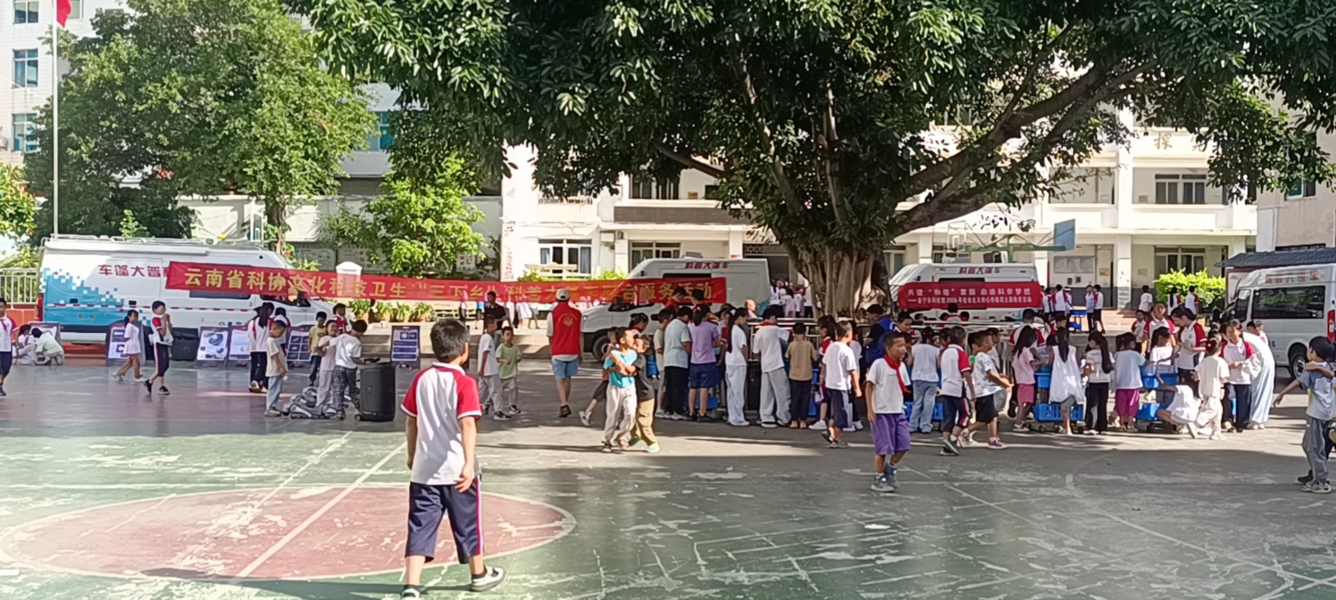 图片加载失败